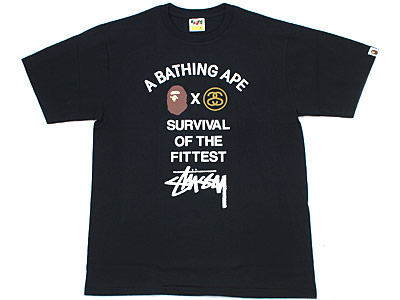 A BATHING APE×STUSSY 'SURVIVAL OF THE FITTED'Tシャツ BAPE エイプ ...