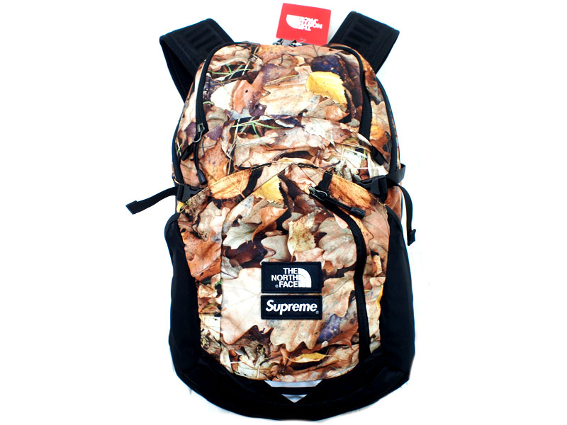 Supreme×THE NORTH FACE 'Leaves Pocono Backpack'バックパック ノース