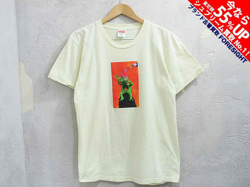 USA製  supreme  Mike Hill Brains Tシャツ