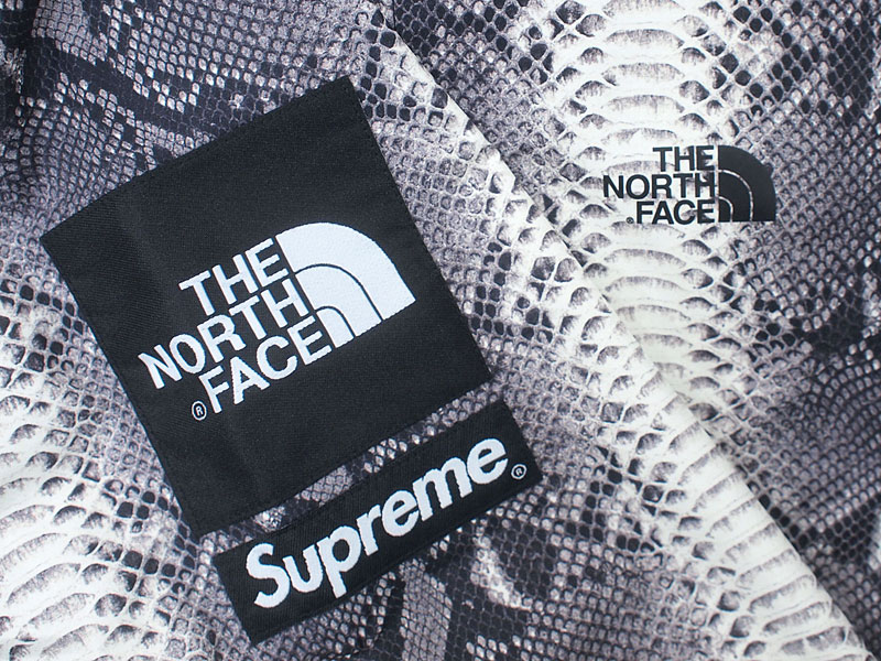 Supreme×THE NORTH FACE 'Snakeskin Taped Seam Coaches Jacket'コーチ