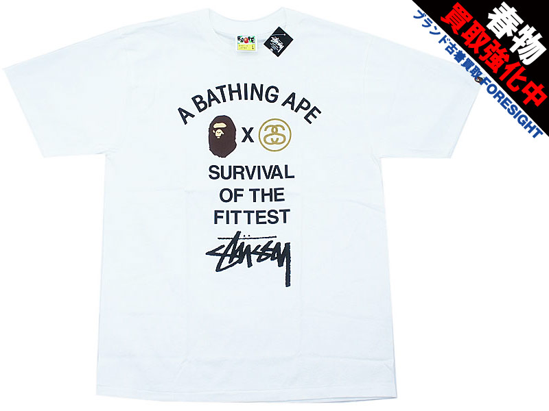 【Lサイズ　30周年】A BATHING APE ×STUSSY 　美品Tシャツ