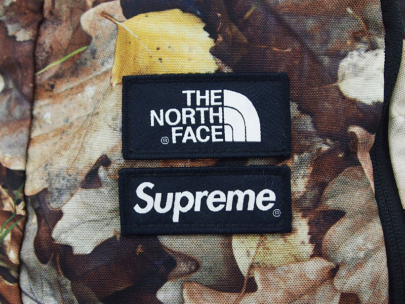 Supreme×THE NORTH FACE 'Leaves Pocono Backpack'バックパック ノース 