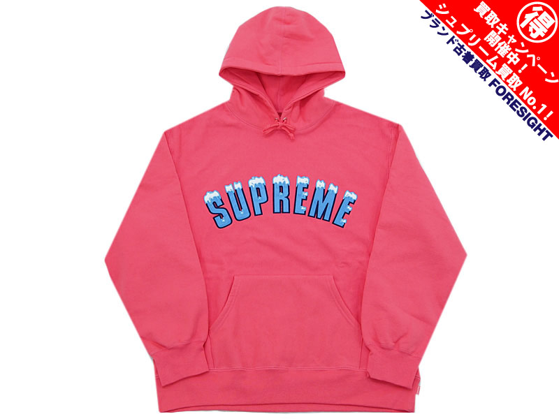 Supreme 'Icy Arc Hooded Sweatshirt'フーデッドスウェット パーカー