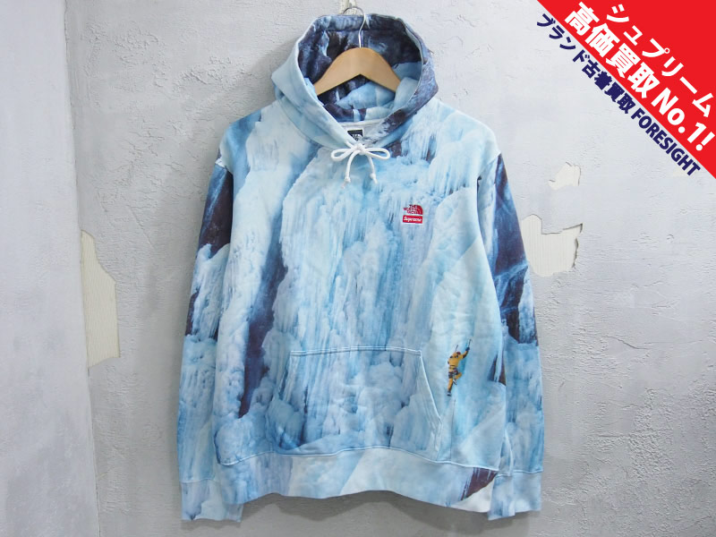Supreme The North Face®Ice Climb Hooded