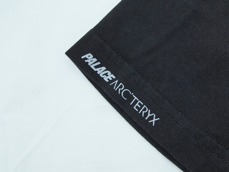 パレス ×アークテリクス ARCTERYX  ARC'TERYX T-Shirt バックロゴプリントTシャツ メンズ L