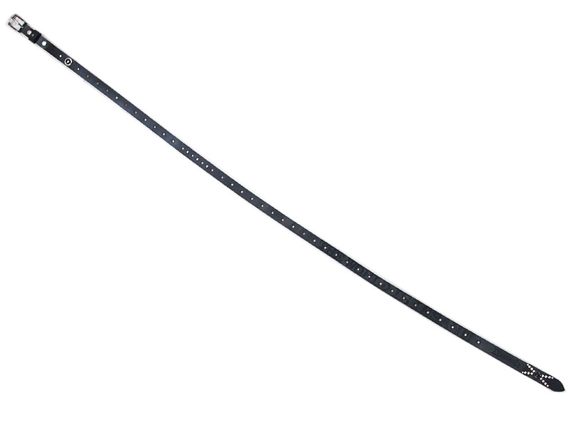 WOLF'S HEAD × TRADING MUSEUM COMME des GARCONS 限定 スタッズ